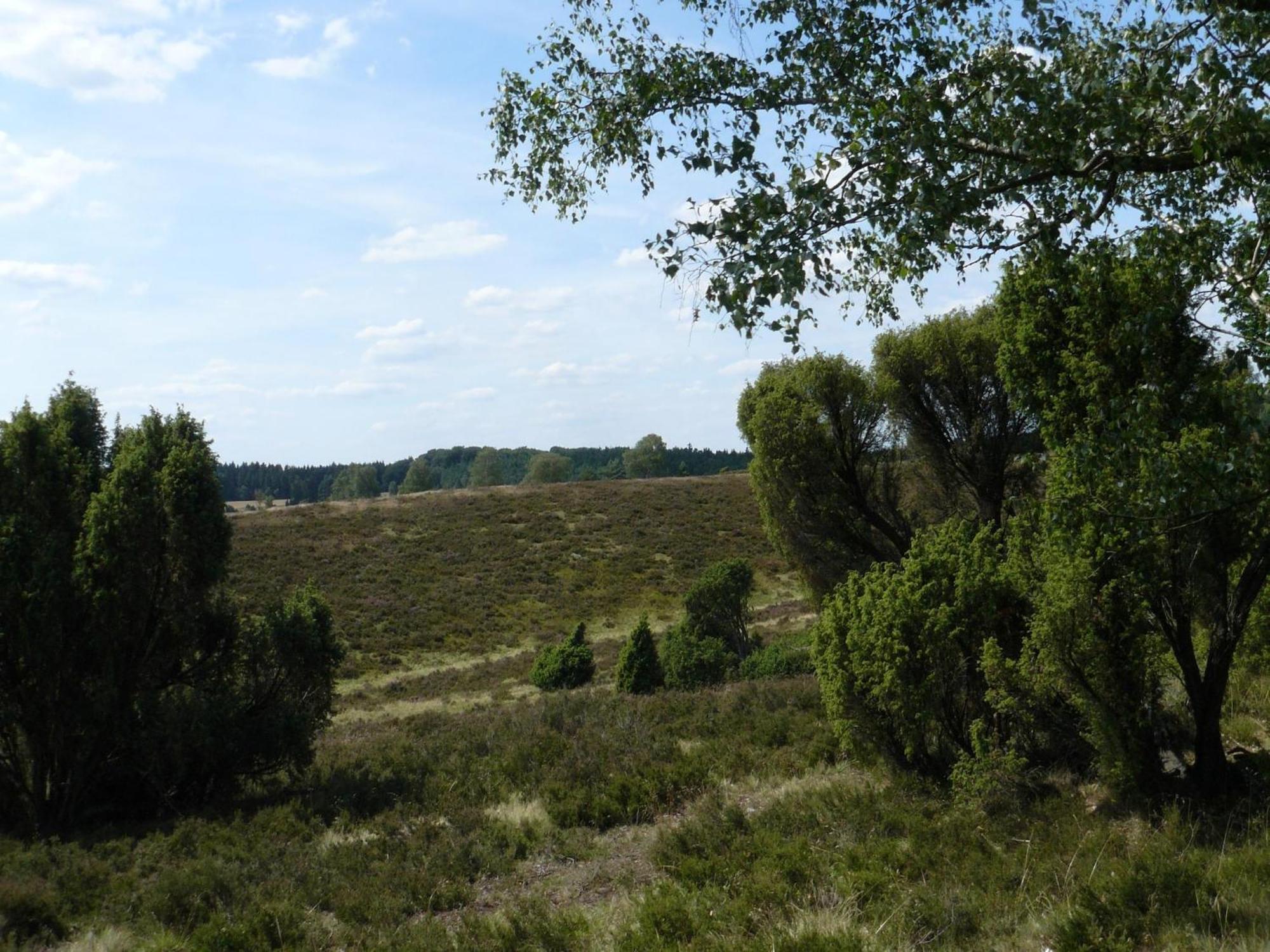 Holiday Home In Wietzendorf In The L Neburg Heath With A View Of The Countryside Extérieur photo