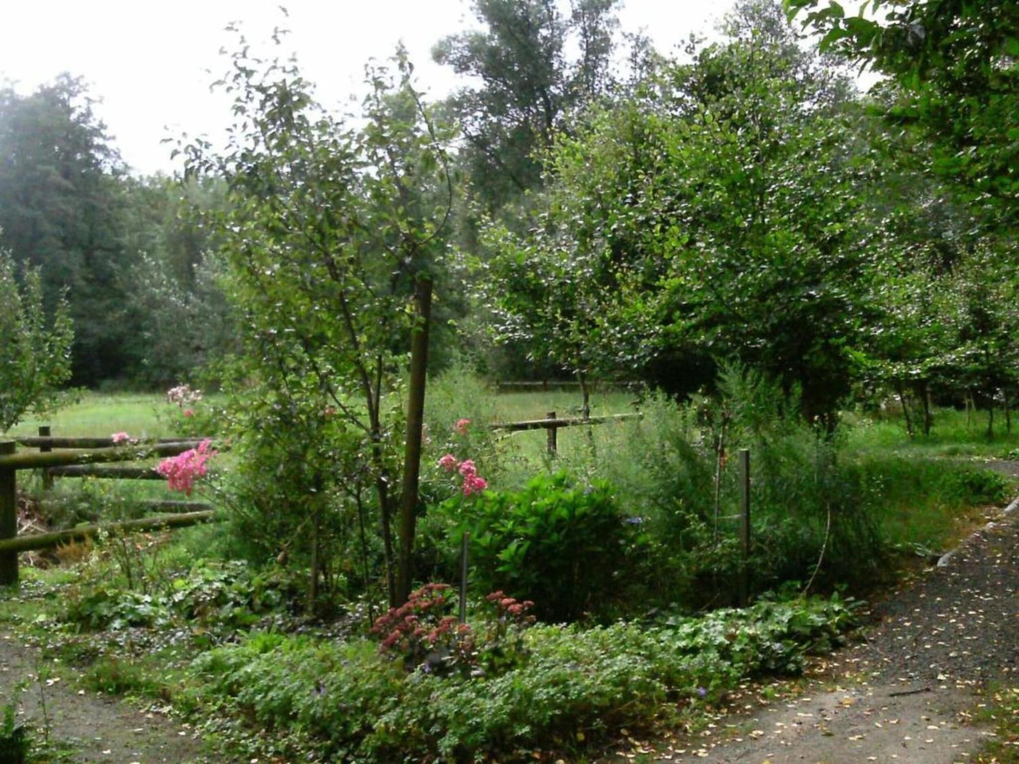 Holiday Home In Wietzendorf In The L Neburg Heath With A View Of The Countryside Extérieur photo